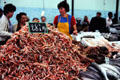 Crustaceans at Vannes street market. Vannes, France.