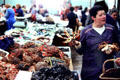 Crabs at Vannes street market. Vannes, France.