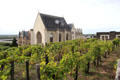 Chapel & vineyards within Angers Chateau. Angers, France.