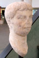 Marble bust thought that of Lucius Caesar, grandson of Auguste at Arles Antiquities Museum. Arles, France.