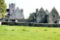 Holycross Abbey, north of Rock of Cashel. Ireland.