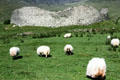 Staigue Stone Fort on Ring of Kerry route. Ireland.