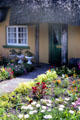 Front door of thatched roof shop in Adare. Ireland.
