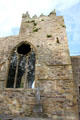 Gothic arch at Jerpoint Abbey. Ireland.