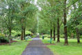 Public park. Adare, Ireland.