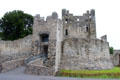 Entrance to Desmond Castle. Adare, Ireland.