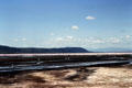 Flamingos wading impart pink color to Lake Nakuru National Park. Kenya.