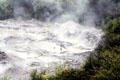 Steaming pool at village of Rotorua. New Zealand.