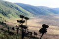 Descending into Ngorongoro Crater. Tanzania