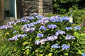 Flowers at Robert Burns Monument. Alloway, Scotland.