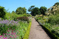 Gardens at Dirleton Castle. Dirleton, Scotland
