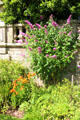 Flower display at Mellerstain House. Gordon, Scotland.