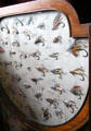 Collection of fishing flies at Thirlestane Castle. Scotland.