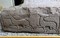 Hunted deer carved on Pictish story stone at St Vigeans Museum. Arbroath, Scotland.