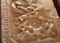 Skull & crossbones tombstone in museum at St Andrews Cathedral. St Andrews, Scotland.