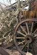 Wagon wheel & cactus at Calico. CA