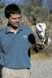 Handler with Barn Owl <i>Tyto alba</i> at Living Desert Zoo. Palm Desert, CA.