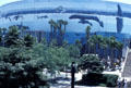 Long Beach Arena with Planet Ocean whale mural by Wyland. Long Beach, CA.