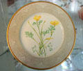 Dinner plate with California Golden Poppy from White House china of Lyndon Johnson at Nixon Library. Yorba Linda, CA.