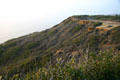 Landscape at Cabrillo National Monument. San Diego, CA.