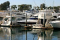 Pleasure craft in Marina. San Diego, CA.