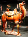 Glazed earthenware camel from China at Asian Art Museum. San Francisco, CA.