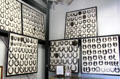 The Bob Nevins collection of horse & ox shoes at Angels Camp Museum. Angels Camp, CA.