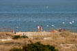 Beach at Tybee Island. GA.