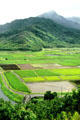 Hanalei Valley site of taro & sugar cane fields. Kauai, HI.