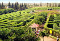 Dole Plantation Maze, the world's largest. Oahu, HI.