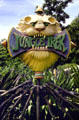 Jungle Trek play area sign at Waimea Valley Adventure Park. Oahu, HI.