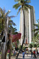 Statue of Duke with surfboard opposite Hyatt Regency Waikiki. Waikiki, HI.