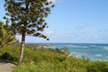 View of sea from Kualoa Ranch. HI.