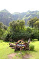 Jurassic Park filming location on film tour at Kualoa Ranch. HI.