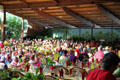 Luau at Polynesian Cultural Center. Laie, HI.