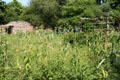 Hobbamock's Homesite native village at Plimouth Plantation. Plymouth, MA.