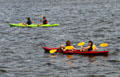 Kayakers on Boston's Charles River. Boston, MA.