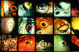 Stunning graphics of National Aquarium. Baltimore, MD.