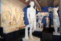 Study gallery of sculptural replicas at University of Missouri Museum of Art & Archaeology. Columbia, MO.