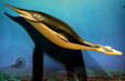 Pleiosaurus model at Museum of the Rockies. Bozeman, MT.