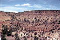 Landscape at Bandelier National Monument. NM