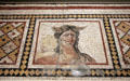Head of Tethys mosaic from Daphne near Antioch at Memorial Art Gallery. Rochester, NY.