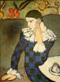 Seated Harlequin painting by Pablo Picasso at Metropolitan Museum of Art. New York, NY.