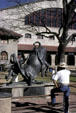 Statue of cowboy wrestling a steer in front of Cowtown Coliseum. Fort Worth, TX.