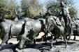 Sculpture group of cowboy driving steers in Stockyards National Historic District. Fort Worth, TX.