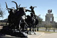 Cowboy driving steers sculpture in Stockyards National Historic District. Fort Worth, TX.