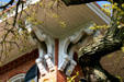 Ashton Villa brackets. Galveston, TX.