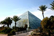 Rainforest pyramid amid palm trees at Moody Gardens. Galveston, TX.