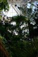 Rainforest in pyramid at Moody Gardens. Galveston, TX.
