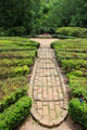 Landscaping at Bayou Bend. Houston, TX.